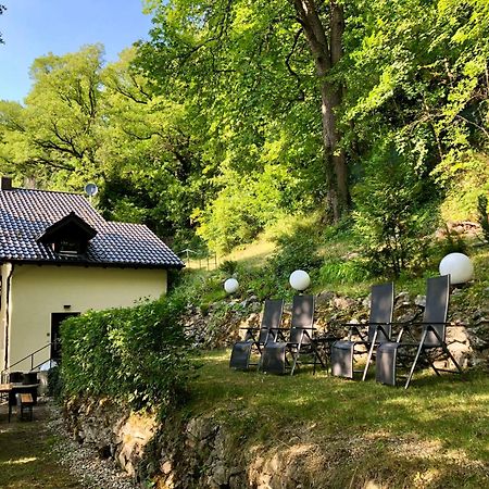 Chalet An Der Donau Direkt Bei Regensburg, 5 Sterne Dtv Pentling Bagian luar foto