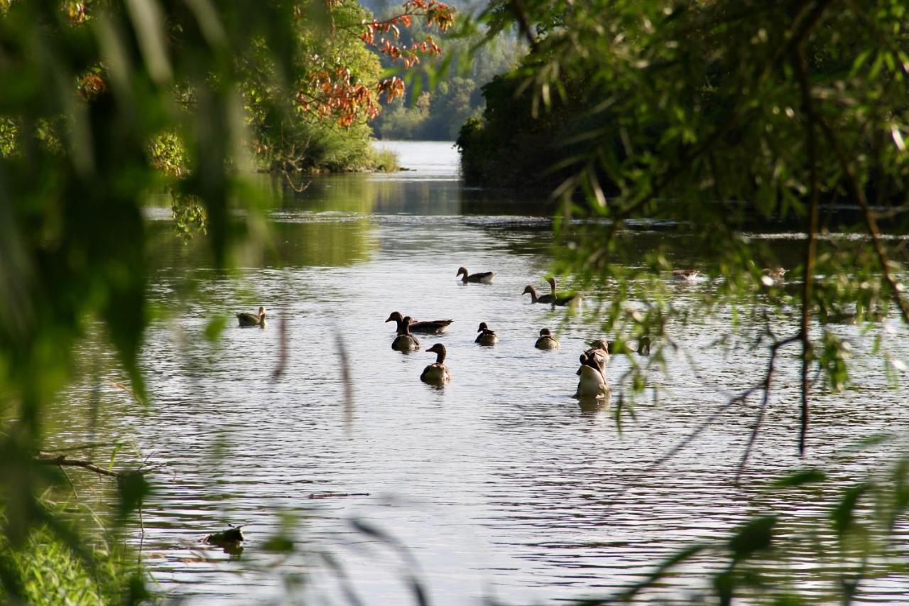 Chalet An Der Donau Direkt Bei Regensburg, 5 Sterne Dtv Pentling Bagian luar foto